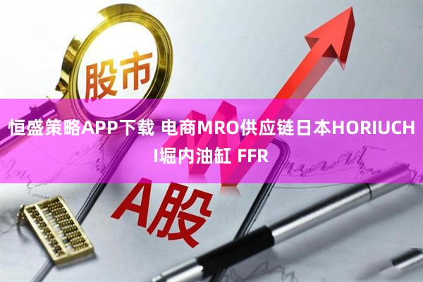 恒盛策略APP下载 电商MRO供应链日本HORIUCHI堀内油缸 FFR