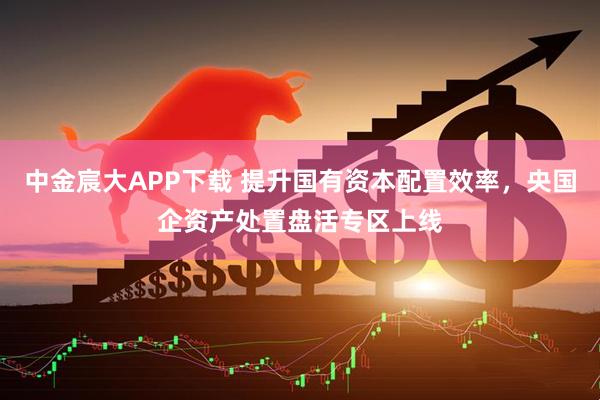 中金宸大APP下载 提升国有资本配置效率，央国企资产处置盘活专区上线