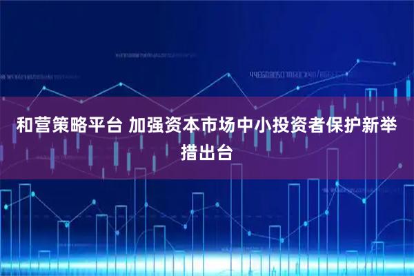 和营策略平台 加强资本市场中小投资者保护新举措出台