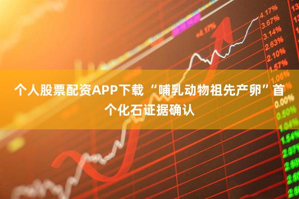 个人股票配资APP下载 “哺乳动物祖先产卵”首个化石证据确认