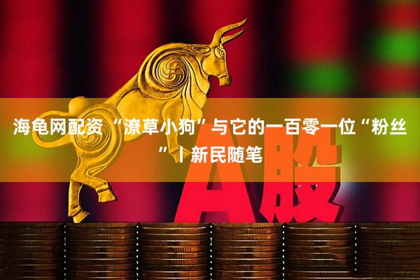 海龟网配资 “潦草小狗”与它的一百零一位“粉丝”丨新民随笔